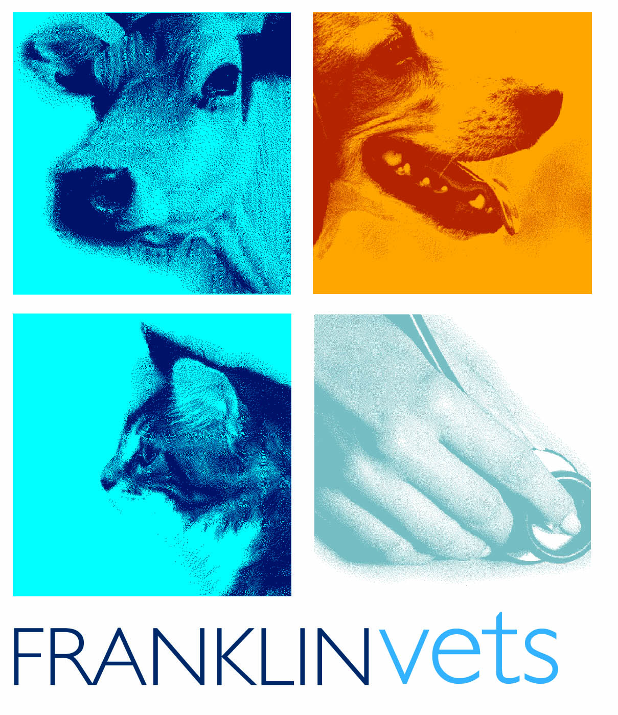 Franklin Vets - Pukekohe , New Zealand