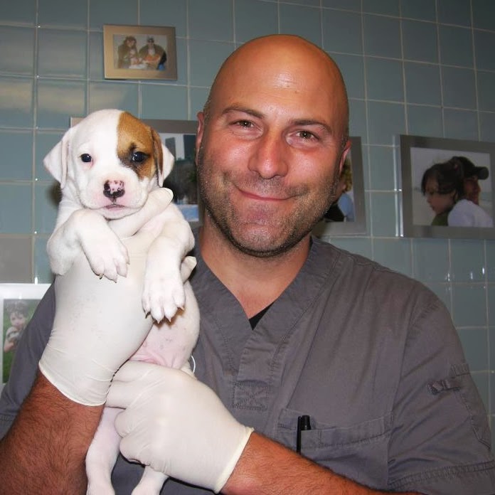 Murray Hill Pet Hospital - New York , United States