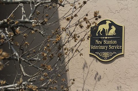 New Stanton Veterinary Service - New Stanton , United States
