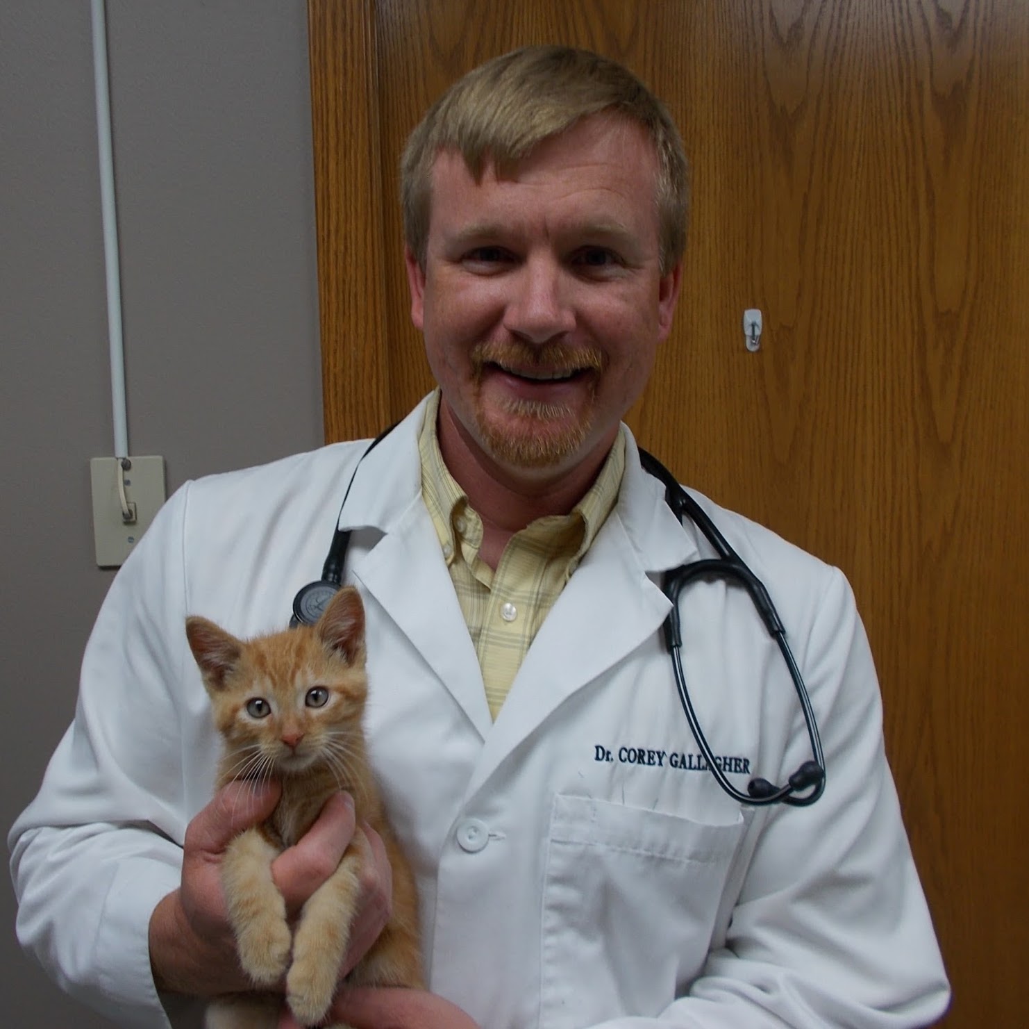 Northwoods Veterinary Clinic LLC - Gillett , United States