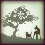 Park Lane Veterinary Hospital - Norman , United States
