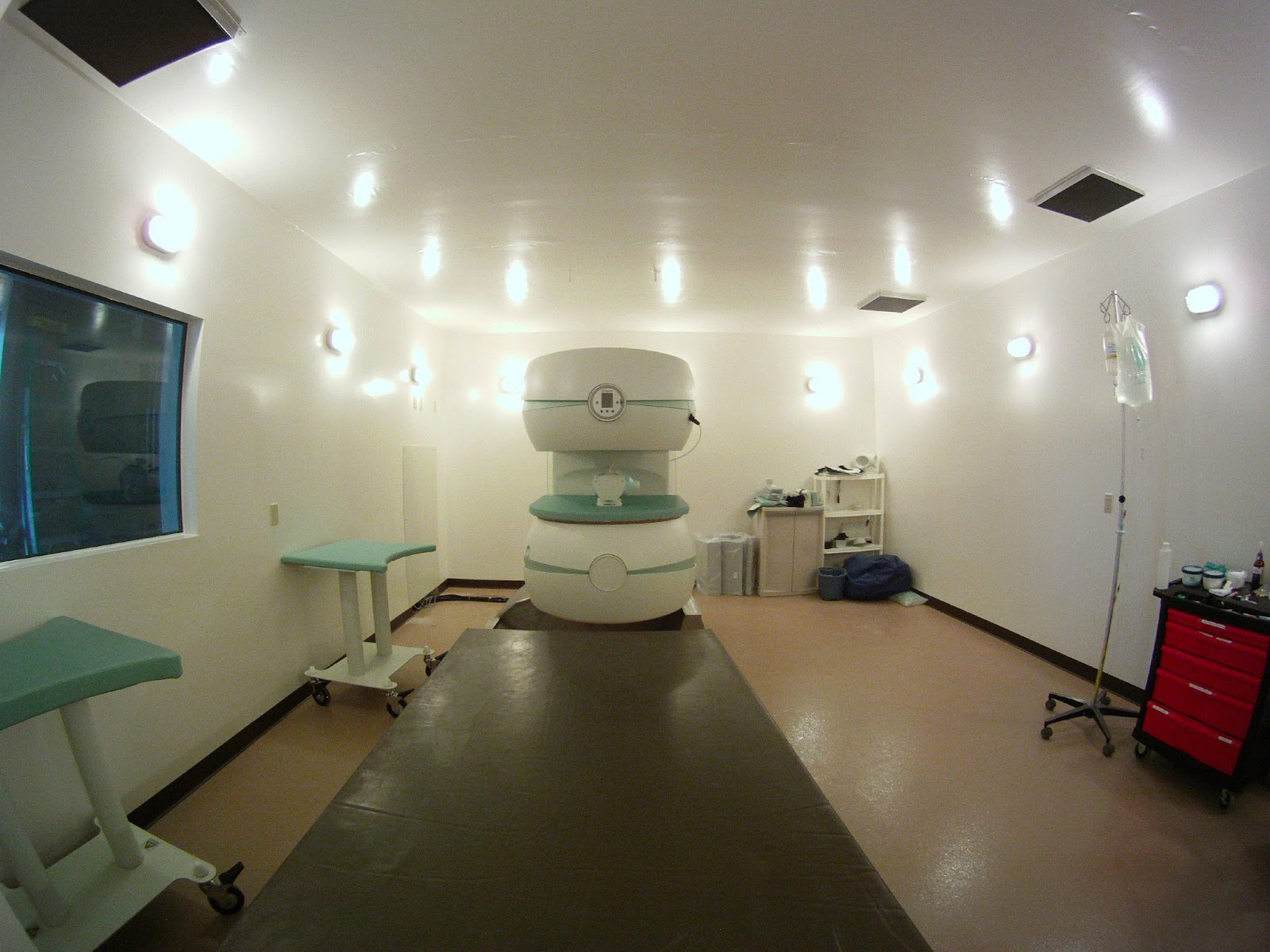 Cave Creek Equine Sports Medicine And Surgery - Phoenix , United States