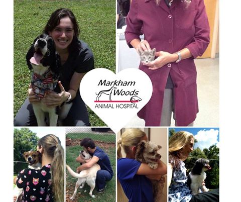 Markham Woods Animal Hospital - Longwood , United States