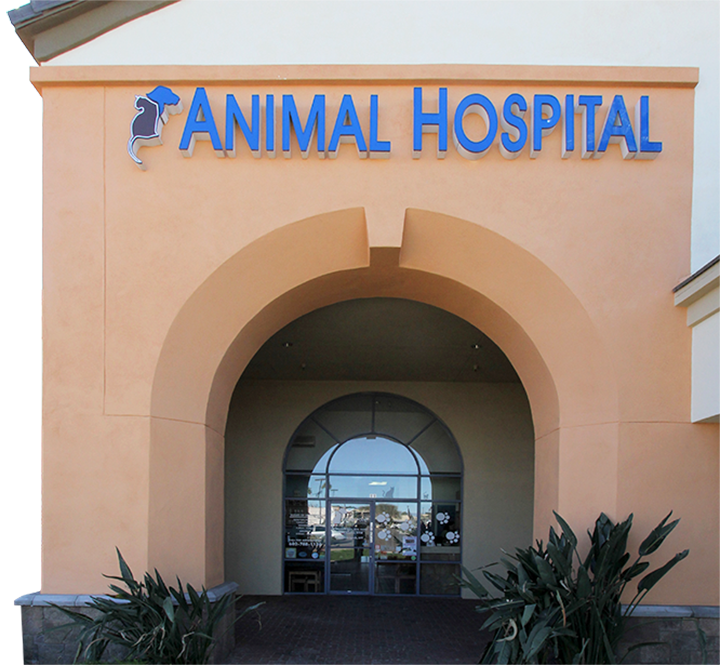 Tatum Point Animal Hospital - Phoenix , United States