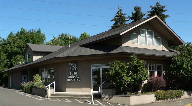 Bush Animal Hospital - Eugene , United States