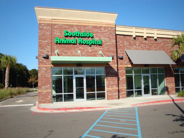 Southside Animal Hospital - Johns Island , United States