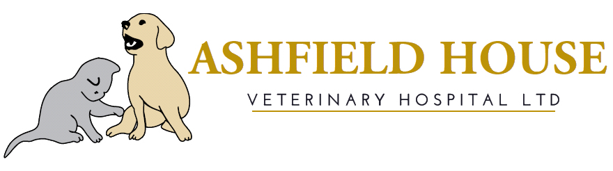 Ashfield House Vets Spondon - Derby , United Kingdom