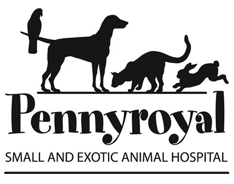 Pennyroyal Small And Exotic Animal Hospital - Lexington , United States