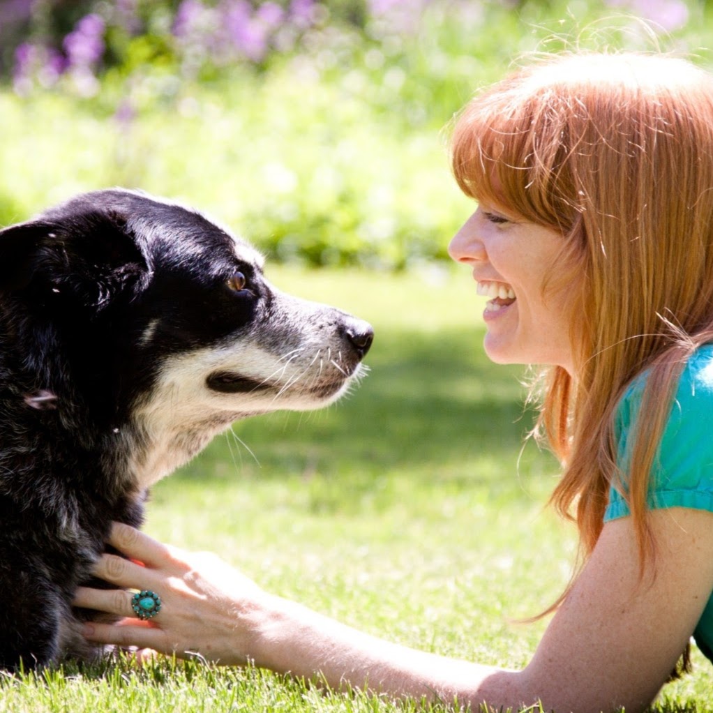 Full Circle Pet Hospice and Euthanasia - Madison , United States