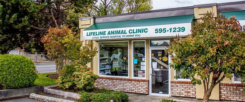 Lifeline Animal Clinic - Victoria , Canada