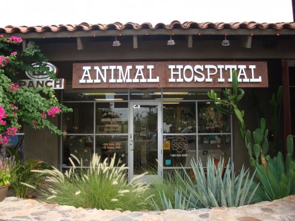 Dc Ranch Animal Hospital - Scottsdale , United States