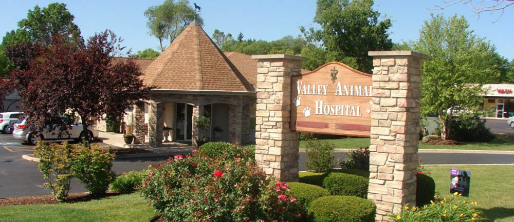Valley Animal Hospital - Geneva , United States