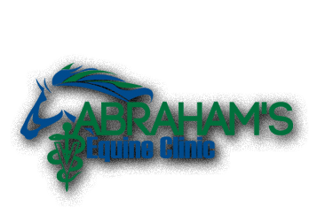 Abrahams Equine Clinic - Cedar Rapids , United States
