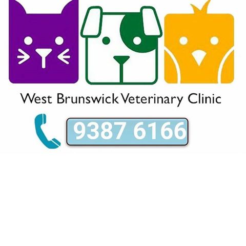 West Brunswick Veterinary Clinic - Brunswick West , Australia