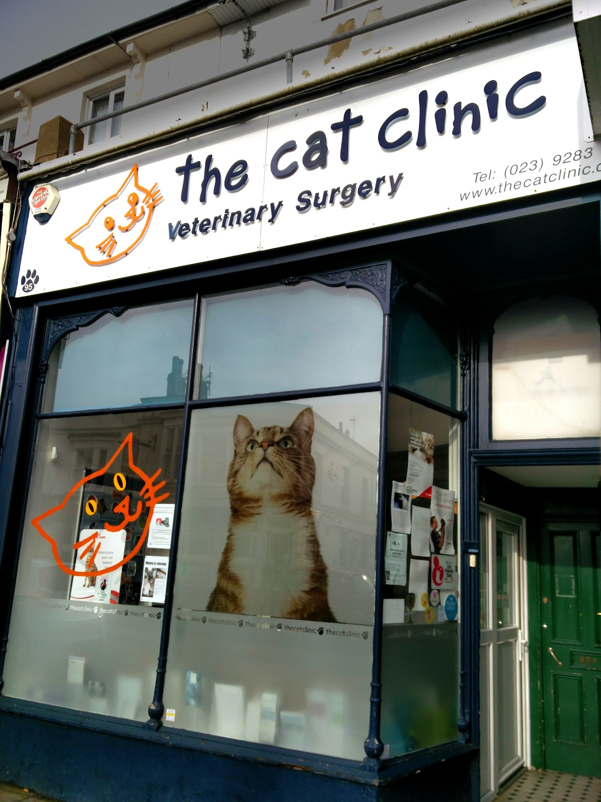 The Cat Clinic - Southsea , United Kingdom