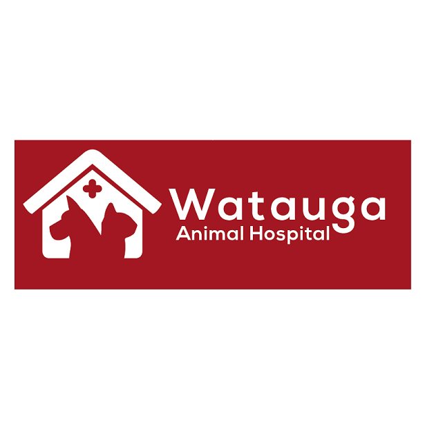 Watauga Animal Hospital - Fort Worth , United States