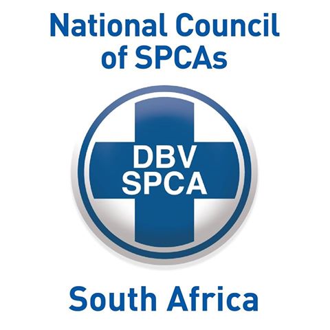 DBV SPCA - Klerksdorp , South Africa