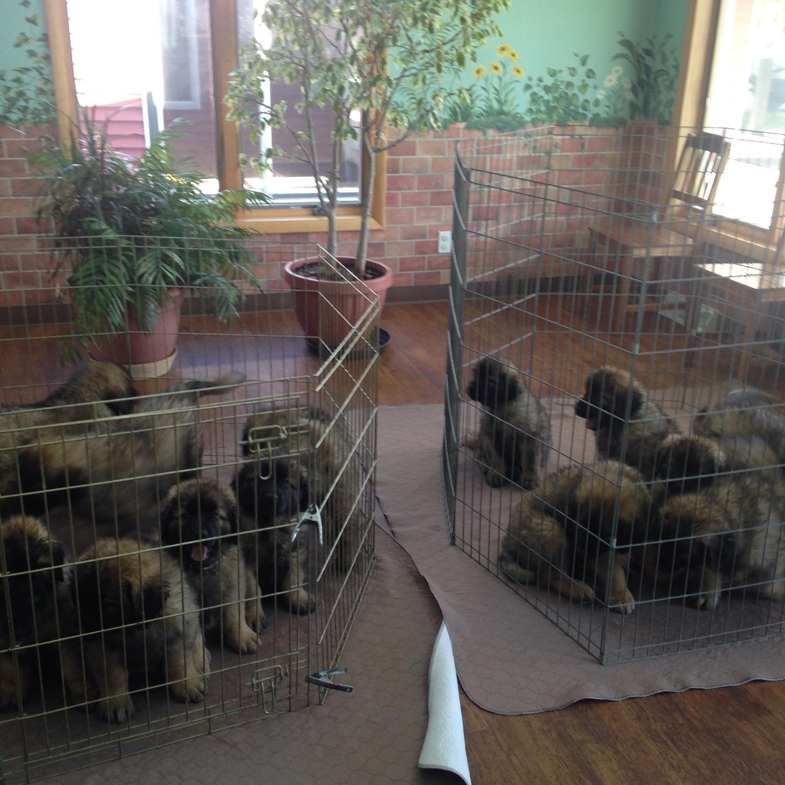 Harmony Veterinary Clinic - Ballston Spa , United States