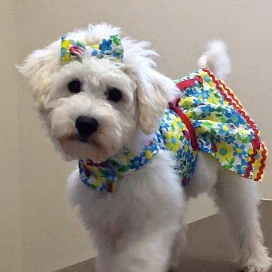 Rolesville Veterinary Hospital - Rolesville , United States