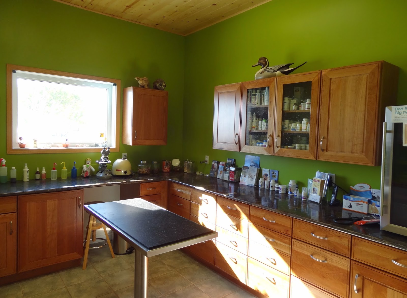 Cochrane Lake Small Animal Clinic - Rockyview County , Canada
