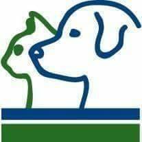 Hansons Vets - Altrincham , United Kingdom