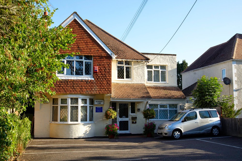 Medivet Three Bridges - Crawley , United Kingdom