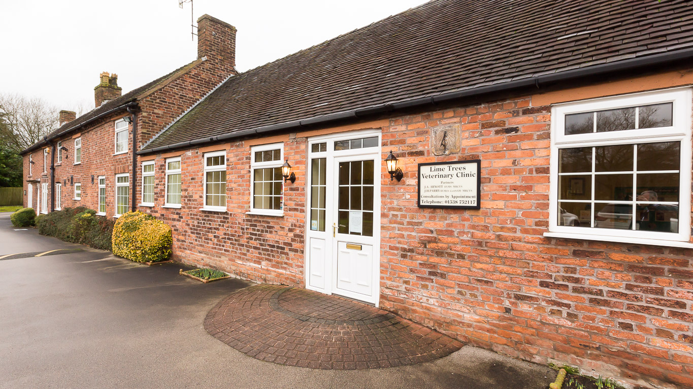 Lime Trees Vets Cat Clinic - Stoke-on-Trent , United Kingdom