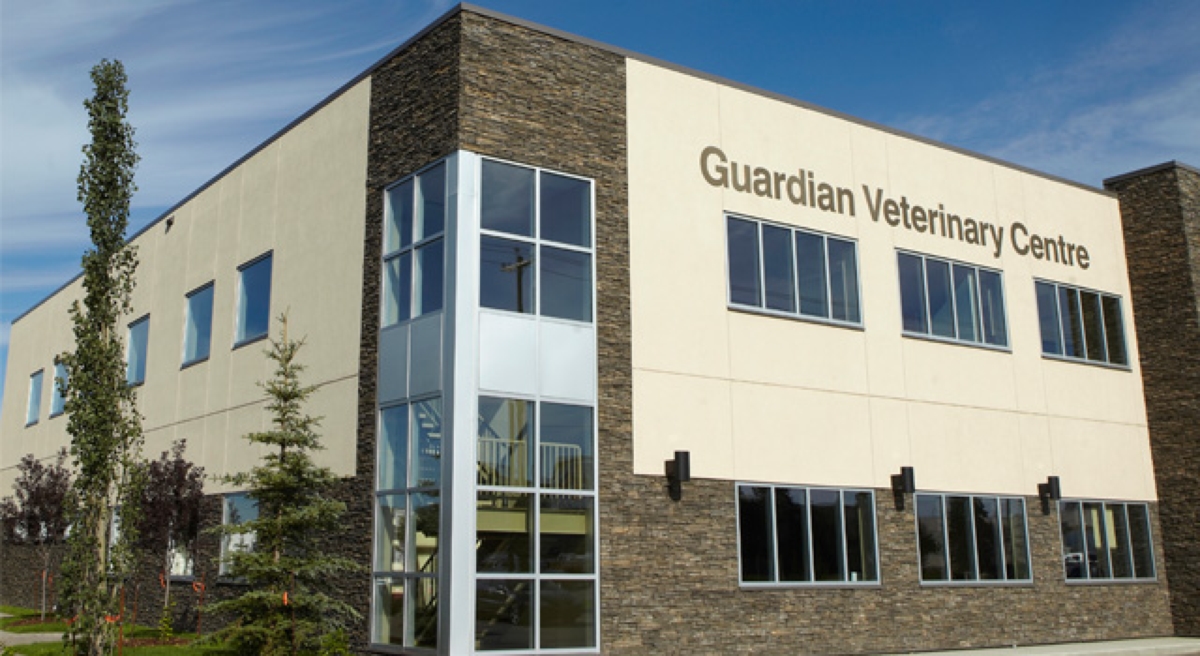 Guardian sales vet hospital