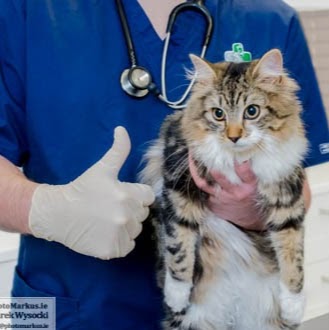 Applewood Veterinary Clinic - Swords , Ireland
