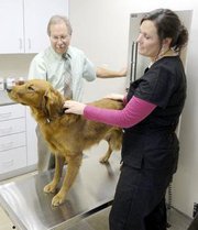 All Creatures Veterinary Center - Newton , United States