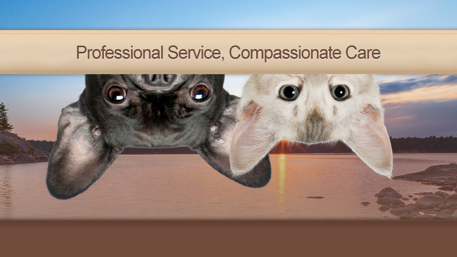 Parry Sound Animal Hospital - Parry Sound , Canada