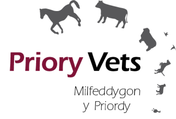 Priory Vets - Aberaeron , United Kingdom