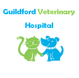 Guildford Veterinary Hospital - Guildford , Australia