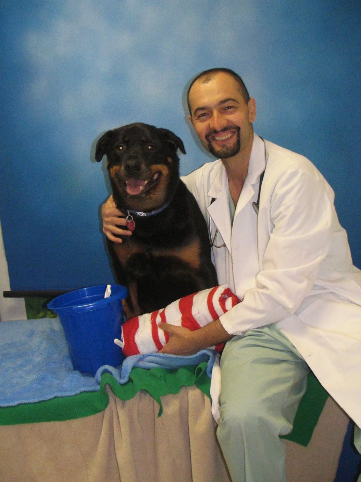 Panorama Village Animal Hospital - Surrey , Canada