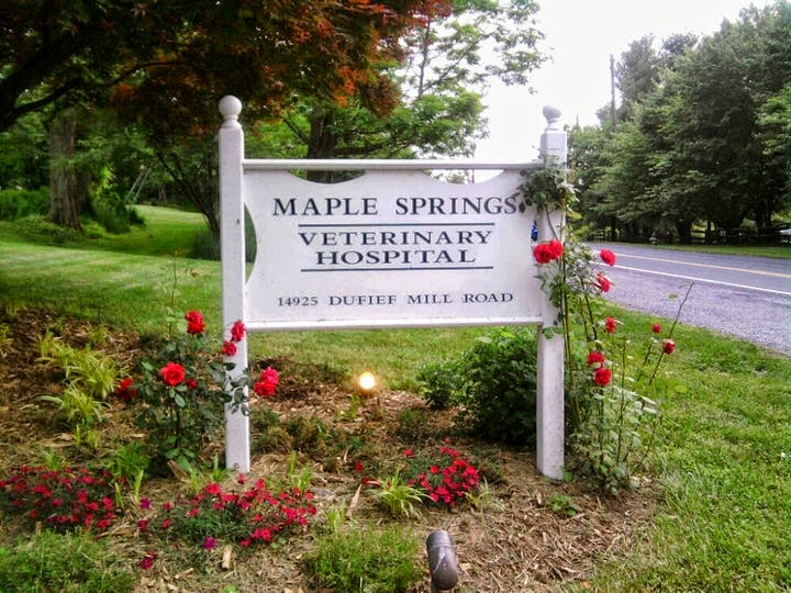 Maple Springs Veterinary Hospital - Gaithersburg , United States