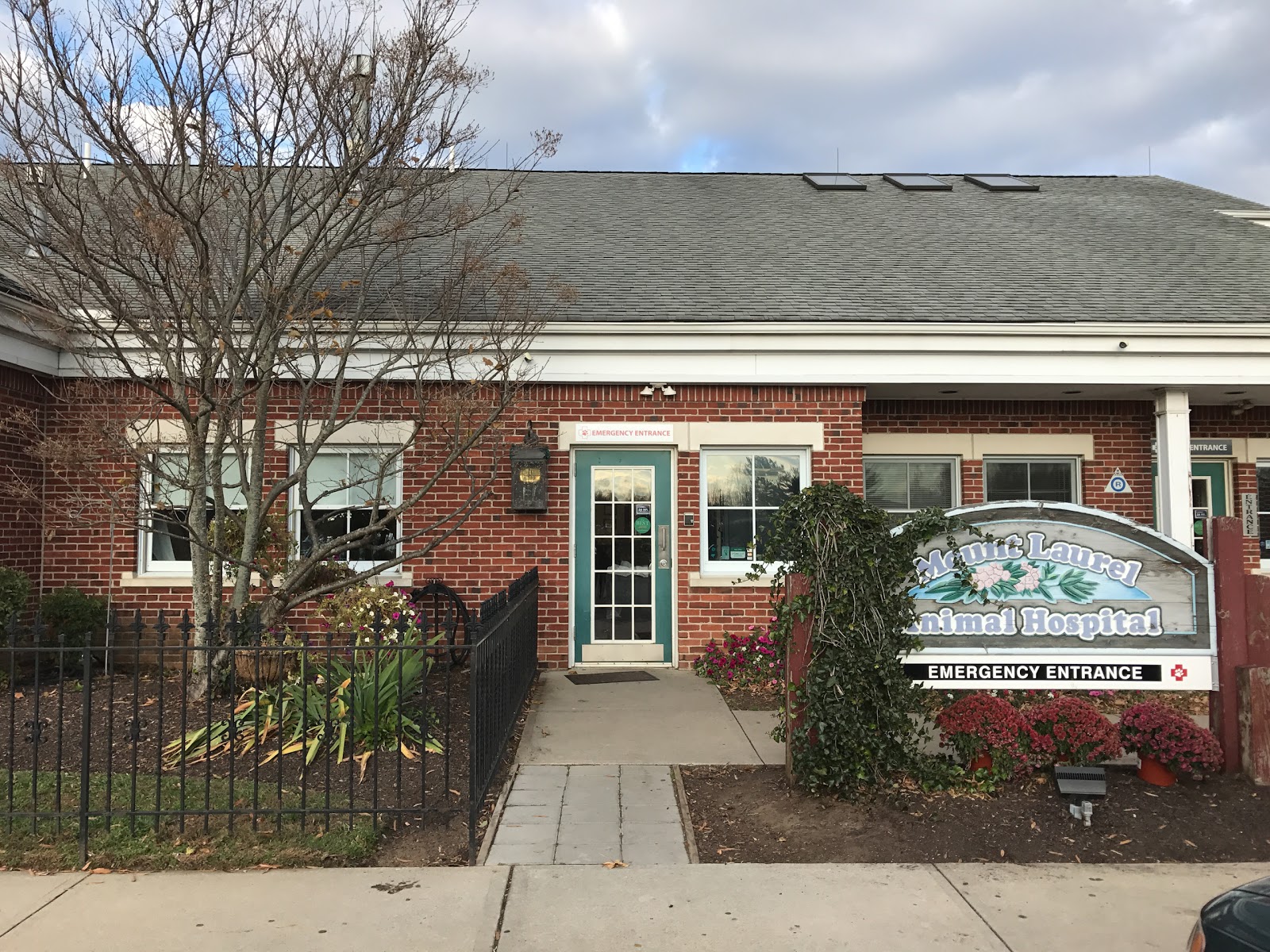 Mount Laurel Animal Hospital - Mt Laurel Township , United States