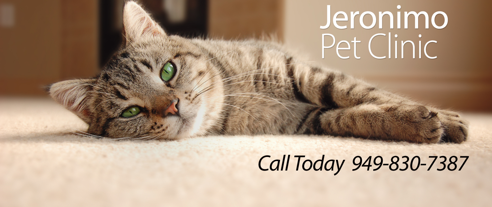 Jeronimo Pet Clinic - Mission Viejo , United States