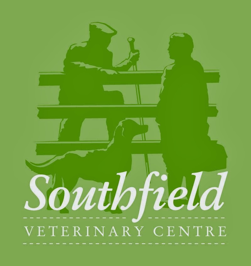 Medivet 24 Hour Dorchester Southfields - Dorchester , United Kingdom