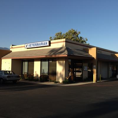 Vca foothill hot sale animal hospital