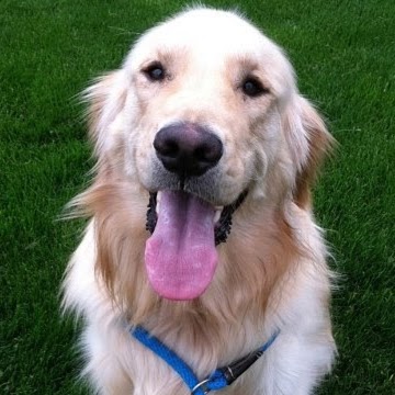 Animal Care Unlimited - Columbus , United States