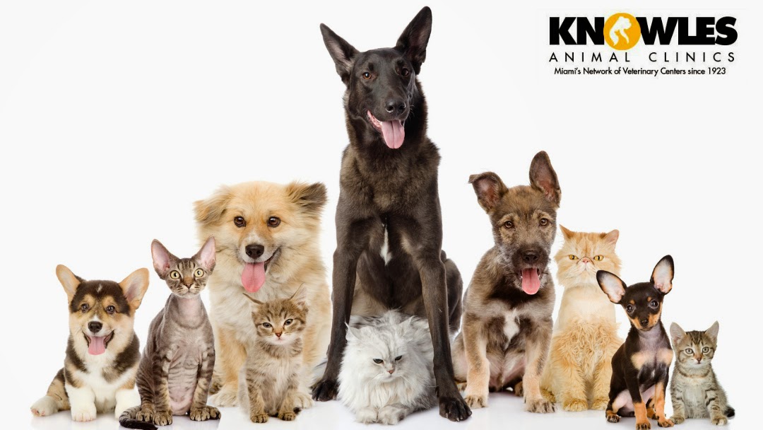 Vca Knowles Central Animal Hospital - Miami , United States