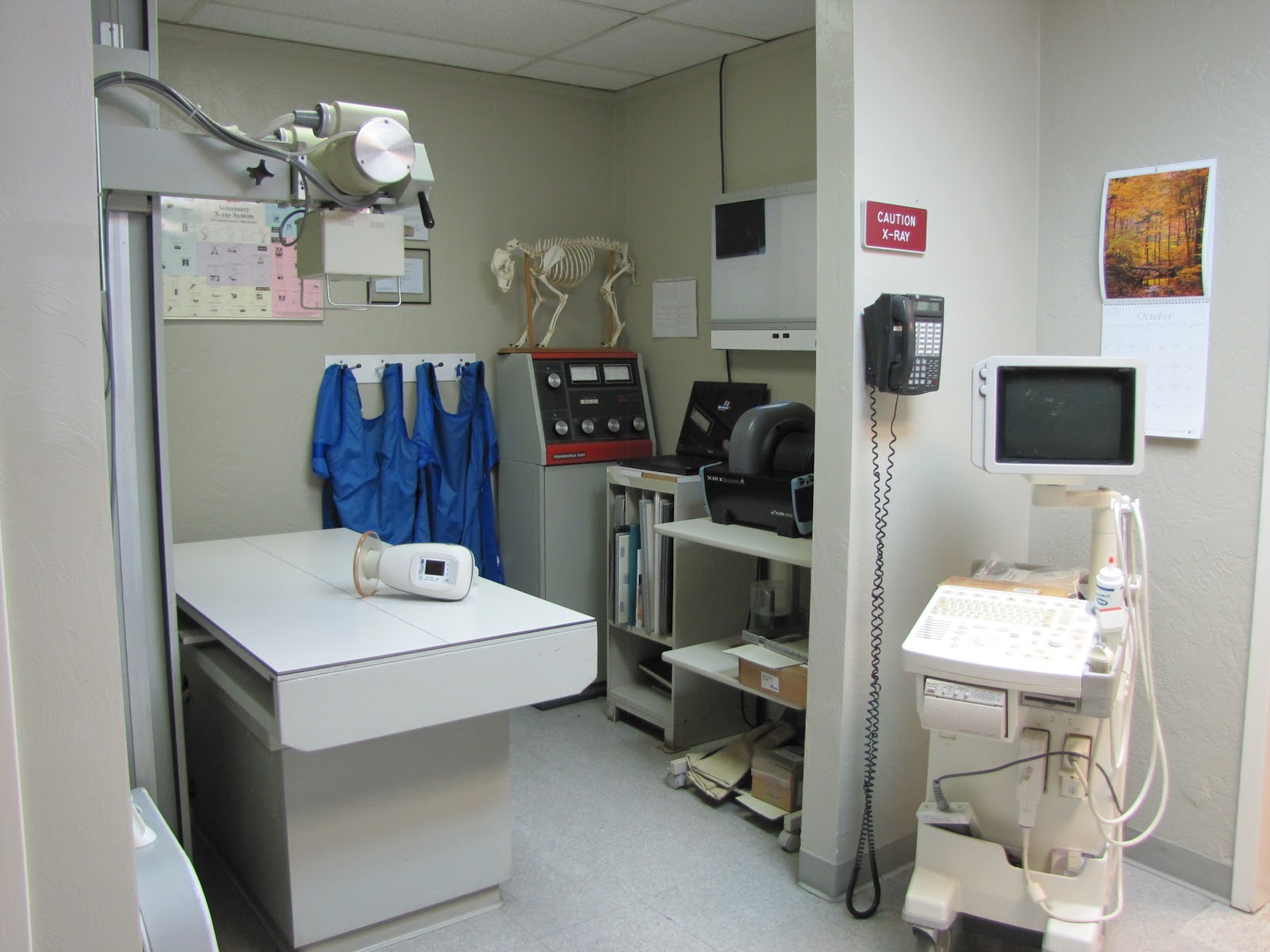 Shield Stone Pet Hospital - Fresno , United States