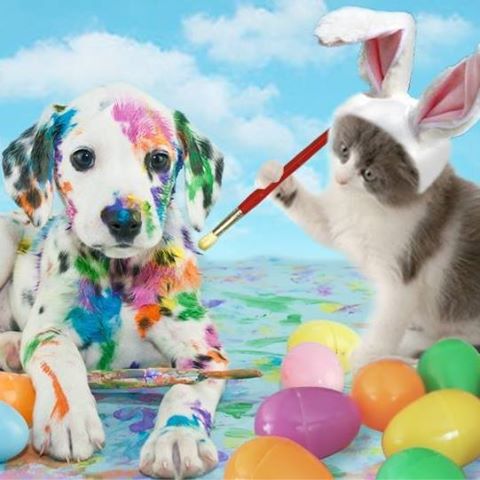 Marrero Veterinary Clinic - Harvey , United States