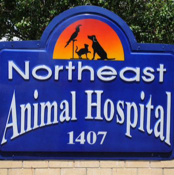 Northeast Animal Hospital - Tallahassee , United States