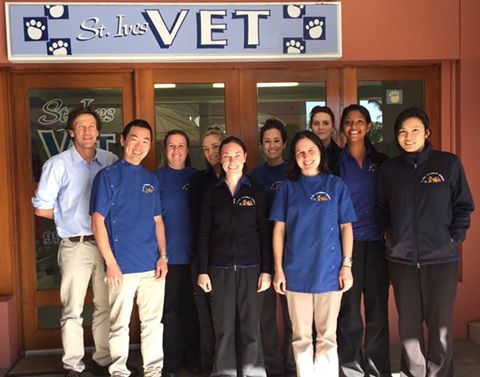 St Ives Veterinary Surgery - Saint Ives , Australia