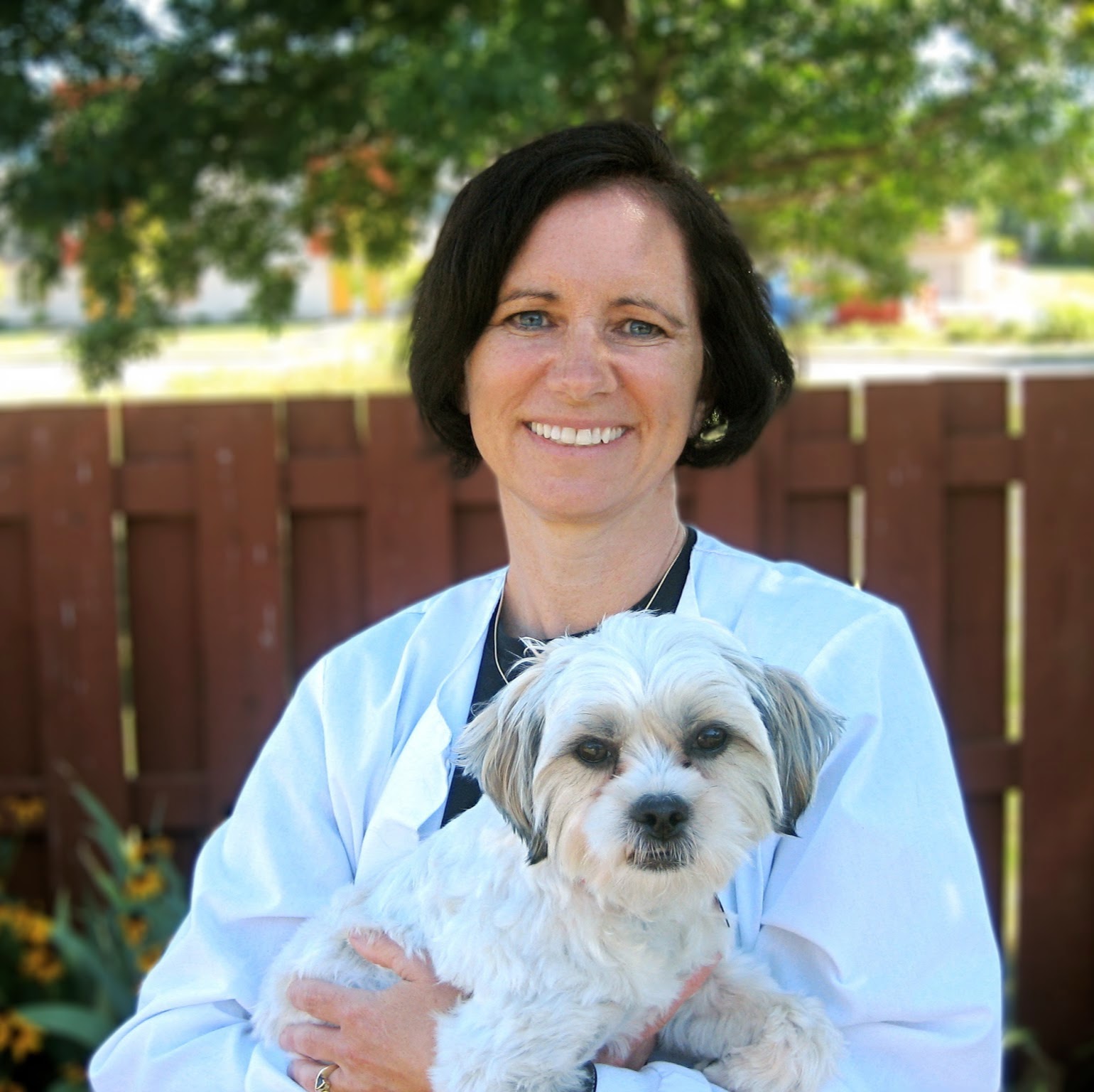 Odyssey Veterinary Care - Fitchburg , United States