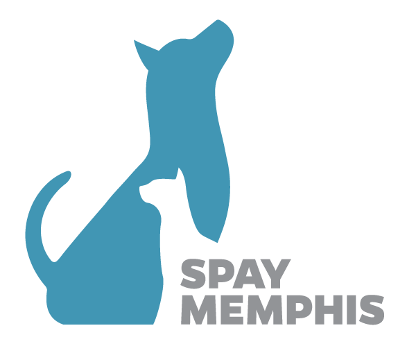 Spay Memphis - Memphis , United States
