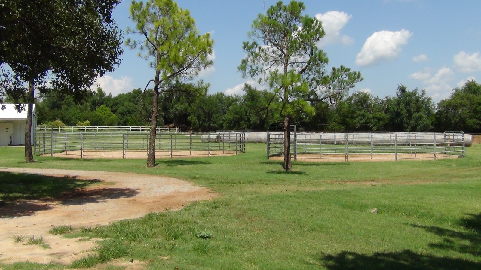 Oklahoma City Equine Clinic - Oklahoma City , United States