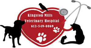 Kingston Mills Veterinary Hospital - Glenburnie , Canada