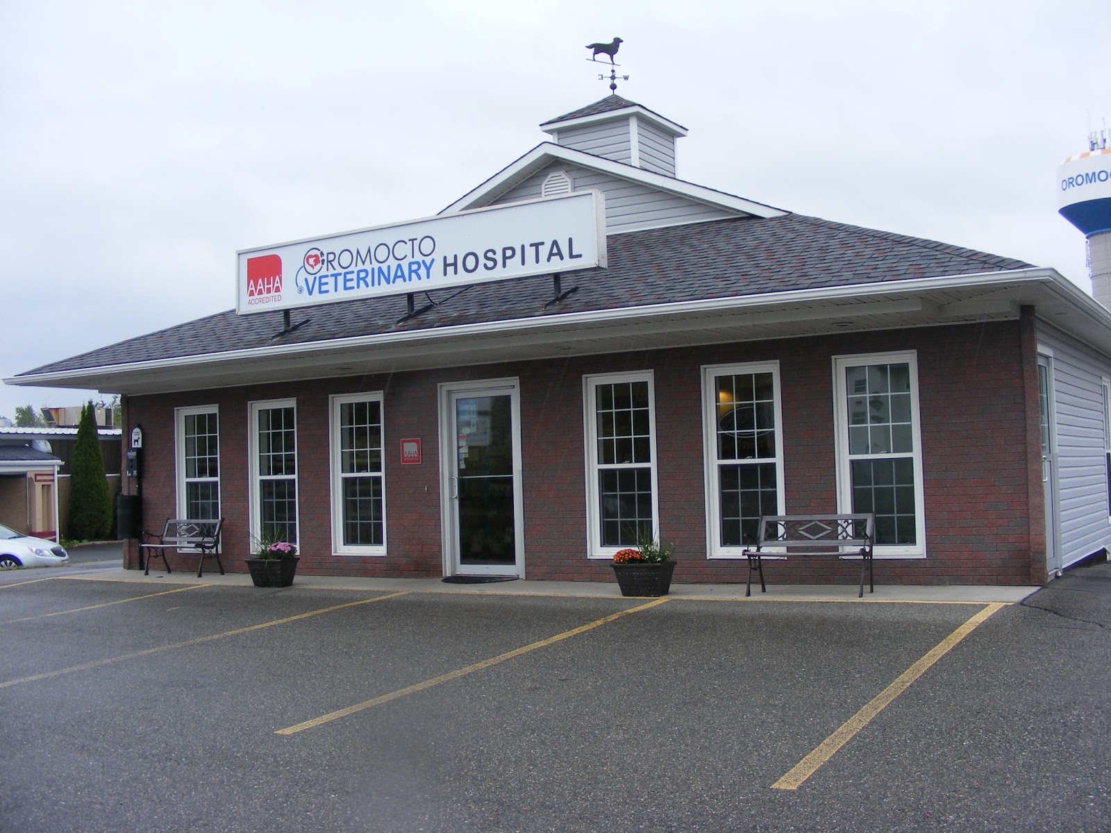 Oromocto Veterinary Hospital - Oromocto , Canada